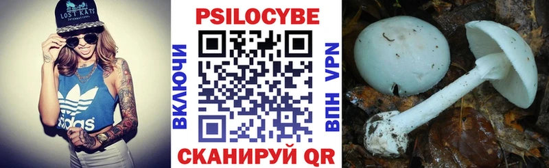 даркнет сайт  Калач-на-Дону  Галлюциногенные грибы Magic Shrooms 