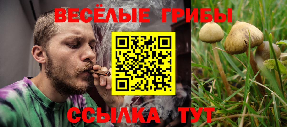 Калач-на-Дону  сколько стоит  Псилоцибиновые грибы MAGIC MUSHROOMS  Вход с VPN  Псилоцибиновые грибы мухоморы 
